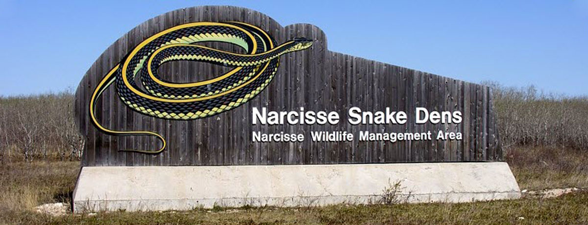 Narcisse Snake Dens